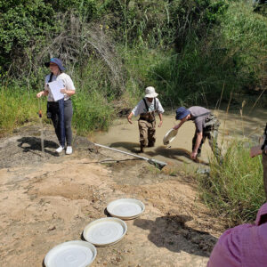 3 people taking water samples in swamp water