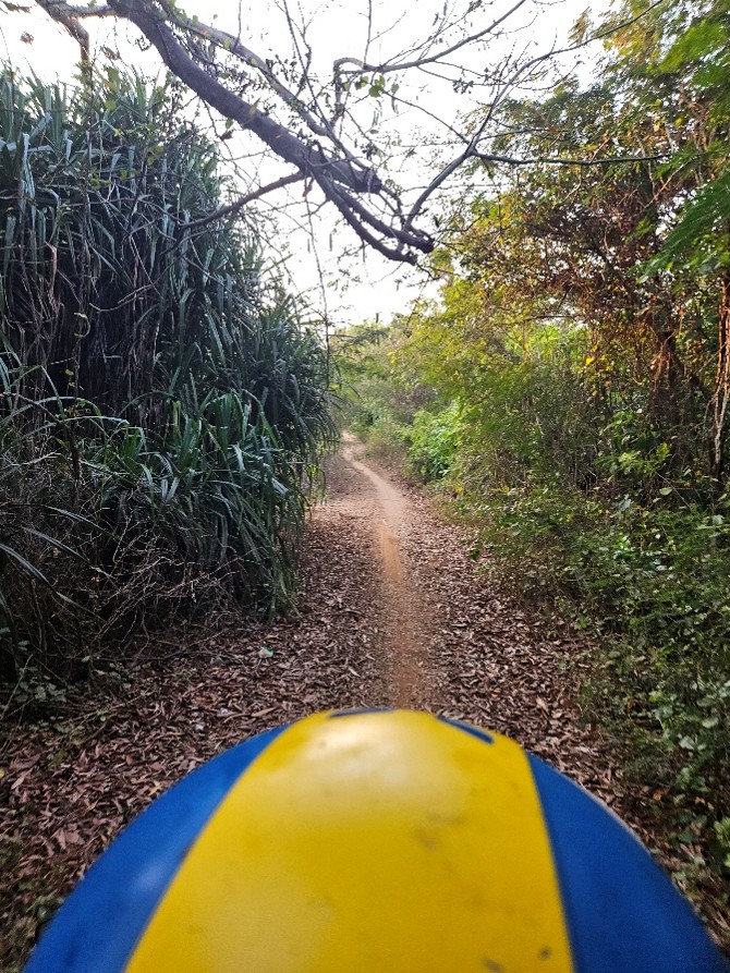 Scott9
