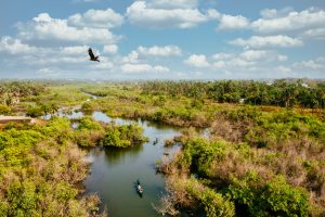 Bird's eye view of a wetland with people riding on boats and enjoying nature