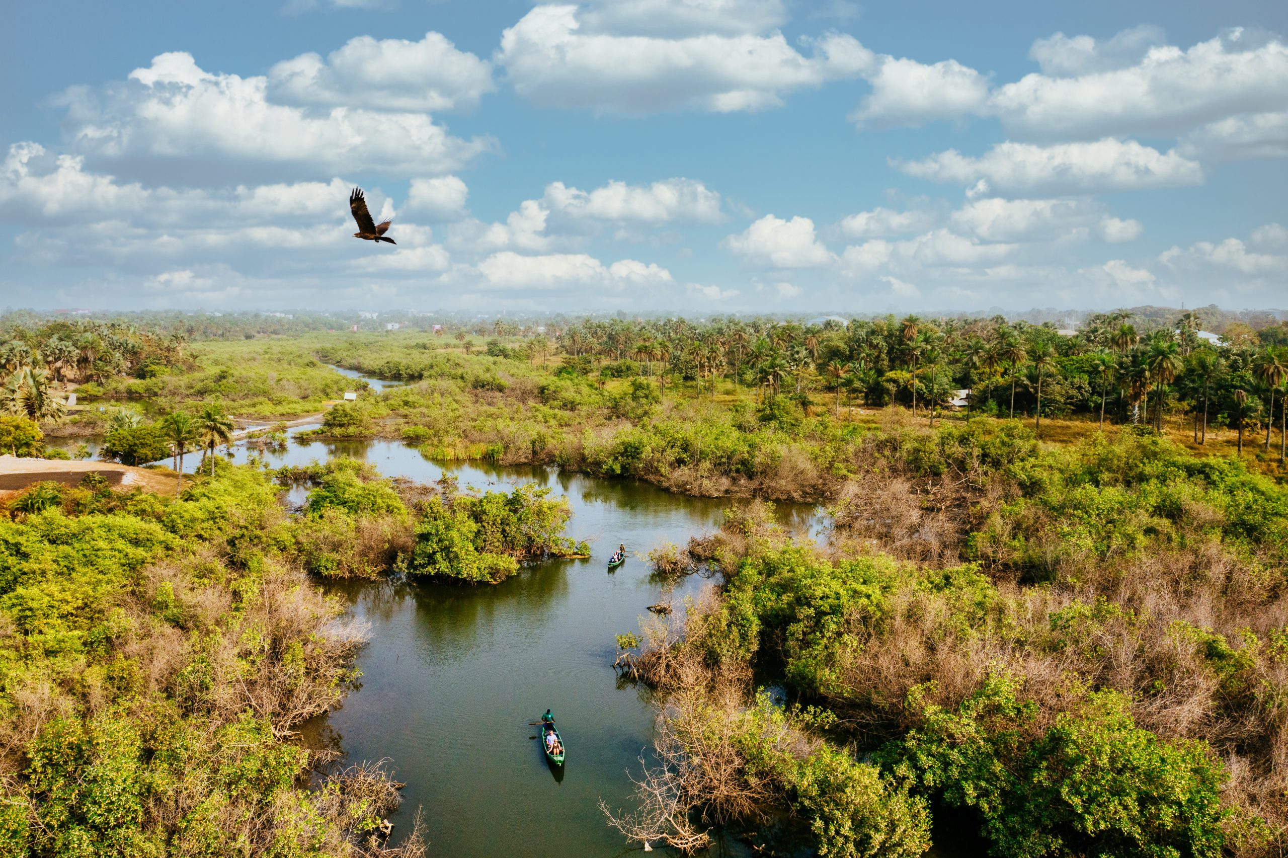 Bird's eye view of a wetland with people riding on boats and enjoying nature